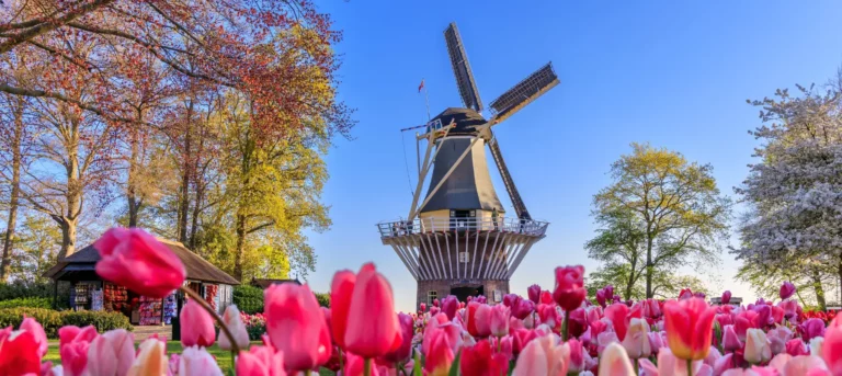 Nederland kondigt verplichte e-facturatie aan: wat je nu al moet weten